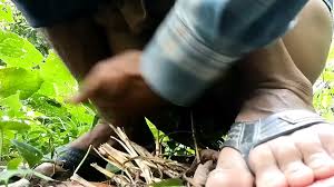 Desifun Gay Porn Videos: Sex Model Nudes | xHamster