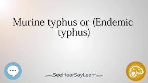 The disease can be mild in young children. Murine Typhus Or Endemic Typhus Youtube