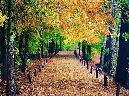 Texas Forest Trail On Instagram It S Friday Y All Time To Hit The Trail This Beautiful Spot Is Synergy Park At Beautiful Spots Forest Trail Nature Trail