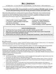 coo resume example danetteforda