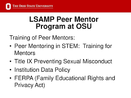 Peer mentoring models and best practices in academic settings - ppt download