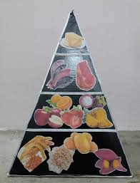 Piramida makanan dalam artian sederhana yaitu suatu pembagian populasi hewan dan tumbuhan atau ekosistem menurut jumlahnya ke dalam bentuk piramida. Ggge2123 Teknologi Inovasi Dalam Pendidikan Model Bbm