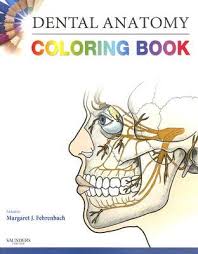 Blank skull anatomy coloring pages. Dental Anatomy Coloring Book By Margaret J Fehrenbach