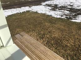 Image result for site:byggahus.se rullgräs