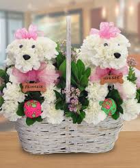 Welcome to publix super markets. Basket Of Puppies Flower Arrangements Simple Unique Flower Arrangements Flower Toy