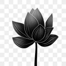 Flower vector graphics to download in ai, svg, jpg and png. Black Lotus Png Images Vector And Psd Files Free Download On Pngtree
