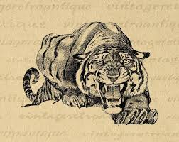 Printable Stalking Tiger Image Graphic Wild Cat Digital Image Etsy In 2021 Tiger Images Tiger Artwork Antique Artwork