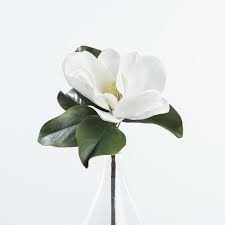 Our catalog presents an extensive collection of premium quality silk flower accents and centerpieces, floor plants and plant designs, trees, and decorative containers. Large Magnolia Stem Beautiful Flowers Photography Beautiful Flowers Pictures Beautiful Flowers Garden