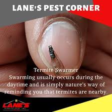 At varsity termite & pest control, we can provide you with top rated. Lane S Termite Pest 11064 Livingston Rd Fort Washington Md Pest Control Mapquest
