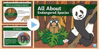 Maybe you would like to learn more about one of these? Endangered Rainforest Animals Powerpoint Primary Resources