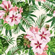 54,000+ vectors, stock photos & psd files. Seamless Exotic Pattern With Tropical Leaves And Flowers On A White Background Plumeria Hibiscus Monstera Palm Vector Illustration Royalty Free Cliparts Vectors And Stock Illustration Image 40164499