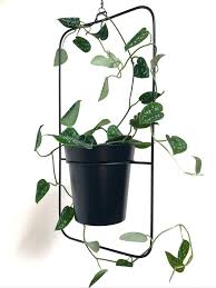 Blumentopf Schwarz Zum Hangen In 2020 Blumentopf Pflanzen Efeutute