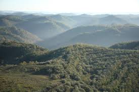 This creature scared us to death! New Hunting Access Areas Open In 6 East Kentucky Counties Kentucky Living