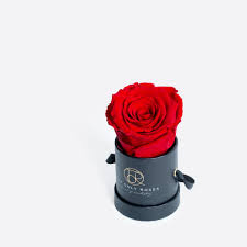 Maybe you would like to learn more about one of these? The Only Roses Real Preserved Luxury Roses That At Last A Year Theonlyroses
