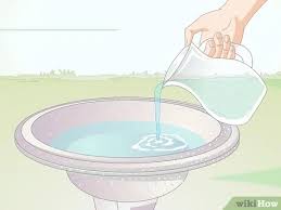 Maybe you would like to learn more about one of these? 3 Ways To Keep Algae From Growing In Bird Bath Wikihow