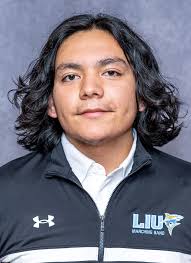 Long Island University Athletics