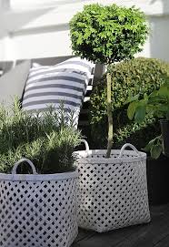 Trendenser Garten Terrasse Terrasse Pflanzen Garten