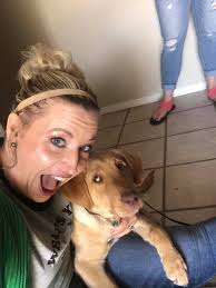 Yorkshire Terrier Puppies for Sale in Birmingham, AL