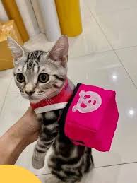 JoyReactor - смешные картинки и другие приколы: комиксы, гиф анимация,  видео, лучший интеллектуальный юмор.