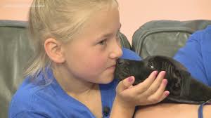 Kisses with Fern! Black lab mix up for adoption from foster family