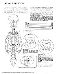 Digestive Diagram Worksheet Answers Technical Diagrams