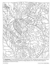 When it gets too hot to play outside, these summer printables of beaches, fish, flowers, and more will keep kids entertained. Animal Camouflage Coloring Pages Printable Coloring Walls