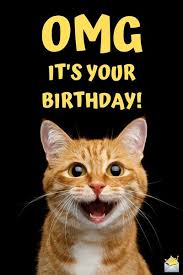 Funny Happy Birthday Images A Smile For Their Special Day Funny Happy Birthday Wishes Funny Happy Birthday Images Happy Birthday Funny
