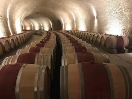 Private sector engagement @careintuk interests: O Shaughnessy Estate Winery Angwin 2021 All You Need To Know Before You Go With Photos Tripadvisor