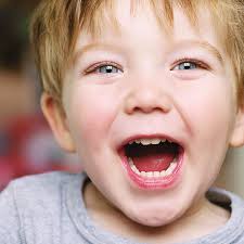 North Branford Education Foundation to Honor Three