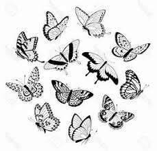 We did not find results for: Easy Simple Flying Butterfly Drawing Novocom Top