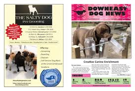 Lisateavet the pet wellness center kohta leiate veebisaidilt www.petwellnessaz.com. 2020 February Downeast Dog News By Jennifer Rich Wendi Smith Ross Cunningham Issuu