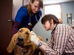 Opens a new tab 8210 plaza dr, madison, wi 53719. Affordable Care Isthmus Madison Wisconsin