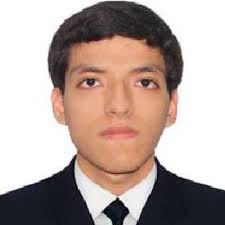 CASTILLO APAZA WATSON