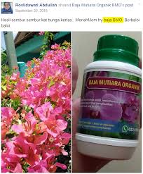 Kita boleh gunakan bahan dari dapu.r sebagai bahan utama baja cecair yang 5. Cara Buat Baja Bunga