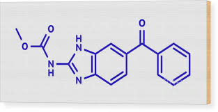 Image result for Mebendazole