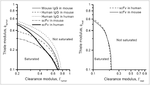You can define a thiele modulus for each chemical reaction separately, you can for one and use stoichiometric relations. Theoretic Criteria For Antibody Penetration Into Solid Tumors And Micrometastases Journal Of Nuclear Medicine
