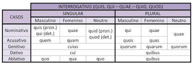 interrogativo quis qui quae quid quod lengua