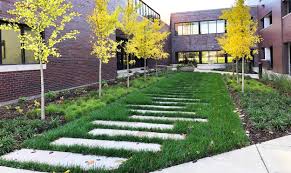 Levi, Ray, and Shoup Headquarters — DTLS Landscape Architecture