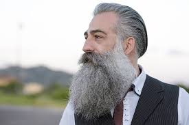Long Wild Bart Stile Check More At Http Www Trendhaarmodelle Com Top 20 Schone Full Beard Styles Fur Manner Begleiten Sie Beard Gang