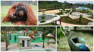 Kebun binatang (bonbin) mangkang, atau yang juga dikenal semarang zoo . Kebun Binatang Mangkang Taman Marga Satwa Semarang Wisatapedi