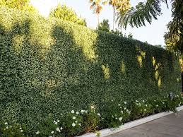 Habillage Mural Habillage Mur Exterieur Mur Exterieur Habillage Mural