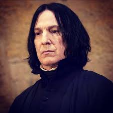 Mitch Reed (@cajunpaddy)