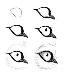 Animal Eye Animal Drawings Sketches Eye Drawing