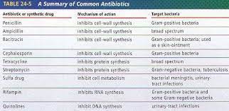 Common Antibiotics Skin Ointment Penicillin Cell Wall