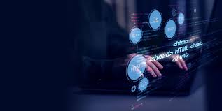 Empowering Business Growth with Custom Software Development
