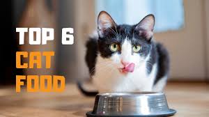He ate it all without leaving anything behind. Best Cat Food In 2019 Top 6 Cat Food Reviews Youtube