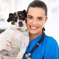 Maybe you would like to learn more about one of these? Vet Plus Center Sharjah Uae