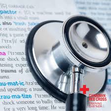 Medical Terminology - ONLINE | First Aid Plus