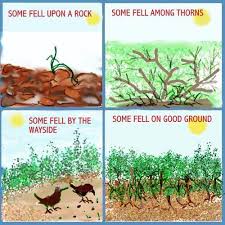Commitment Faith Hope Love The Sower And The Seed Ems Bible Parables Bible Lessons For Kids Sower