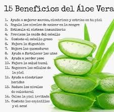 Puedes aprovechar todos sus beneficios con nuestros productos a base de Sábila - Aloe Vera 💯% pura. . ¿Los conoces? . Directo de la Sábila a tu Piel . El poder de